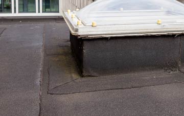 disadvantages of Thrupp flat roofs